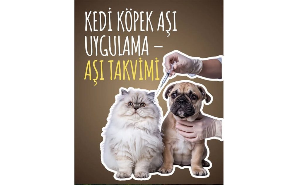 Kedi Köpek Aşı Uygulama – Aşı Takvimi